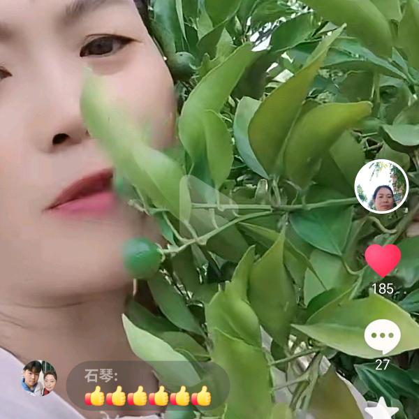 杨二妹