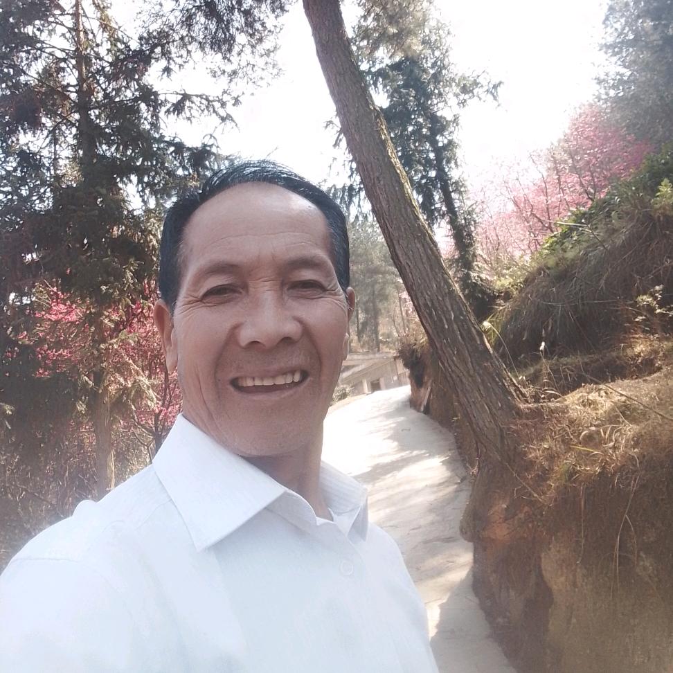 山歌王