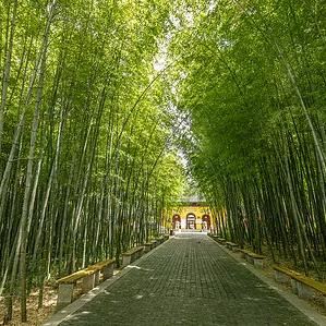 小飞飞123