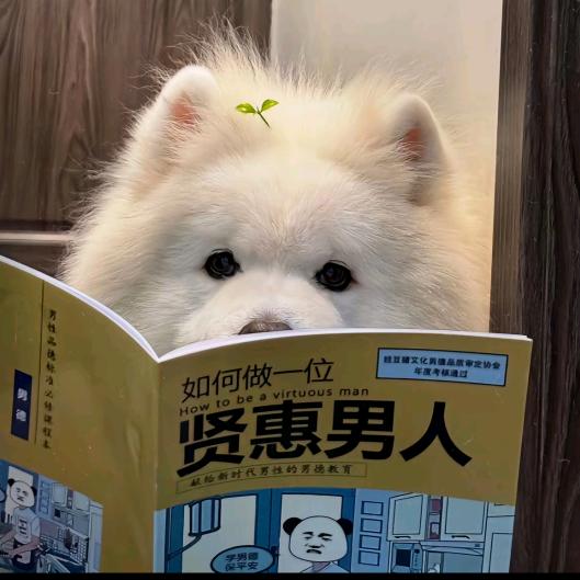 明子