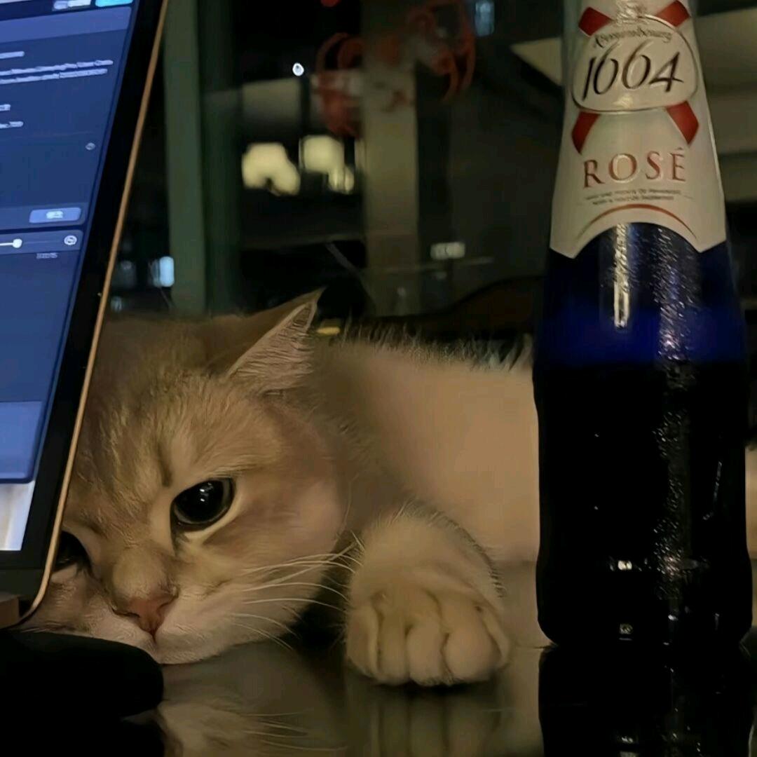 七秒鱼