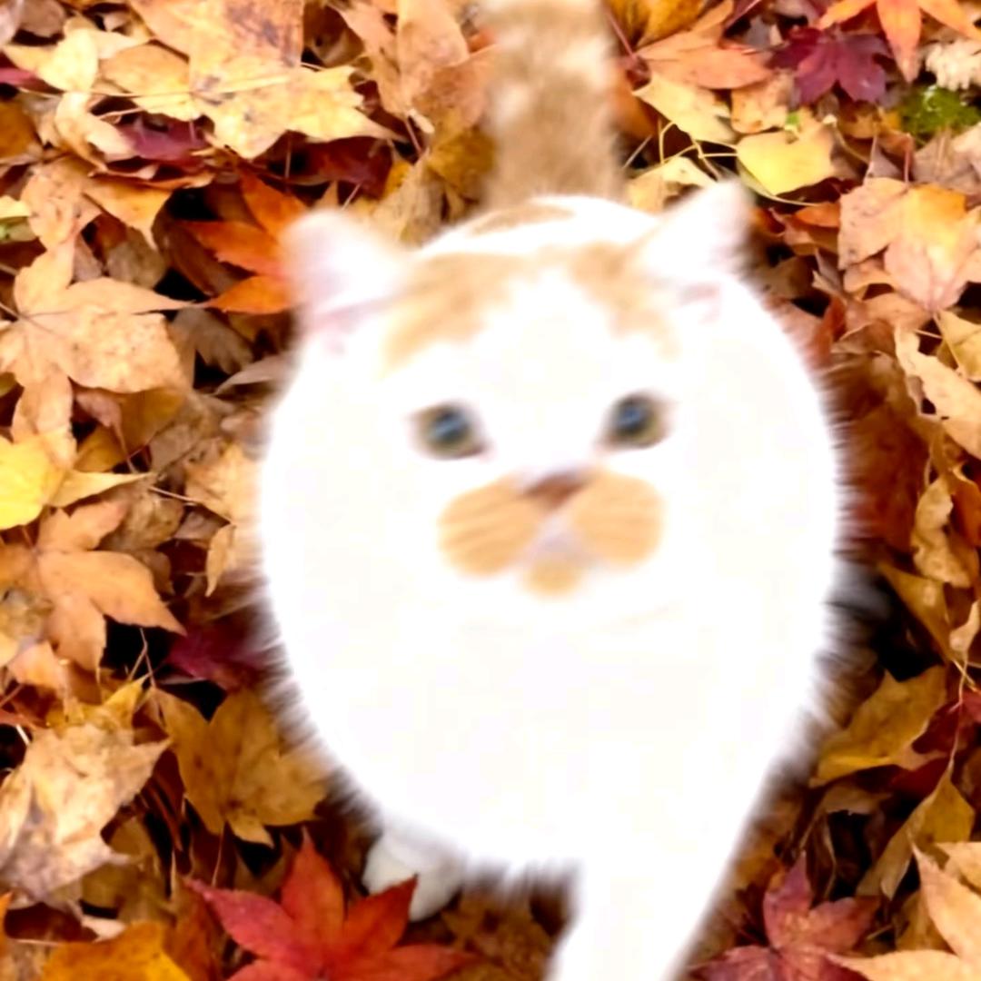 我不李姐（欧皇版）