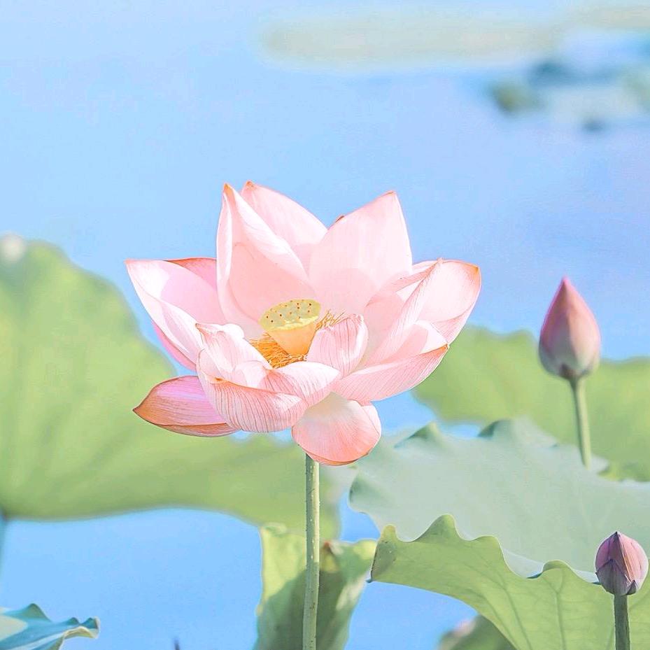 心缘～3