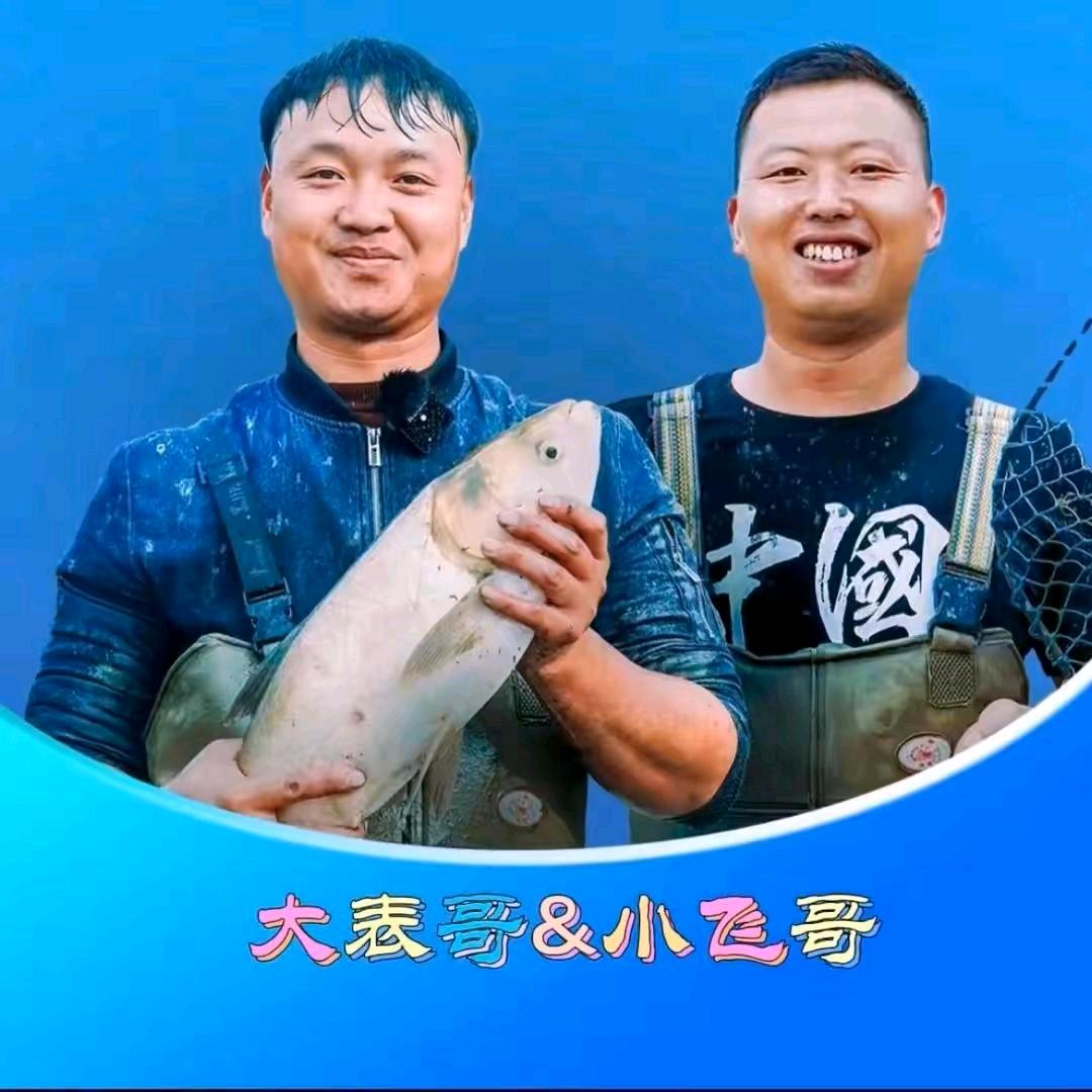 小飞志在星光
