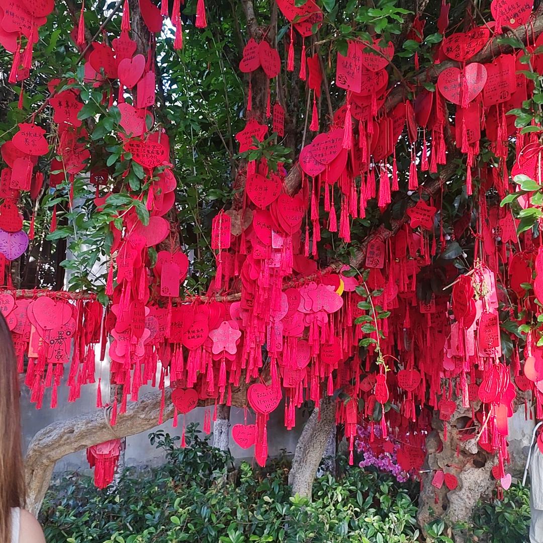 人身就是一场梦