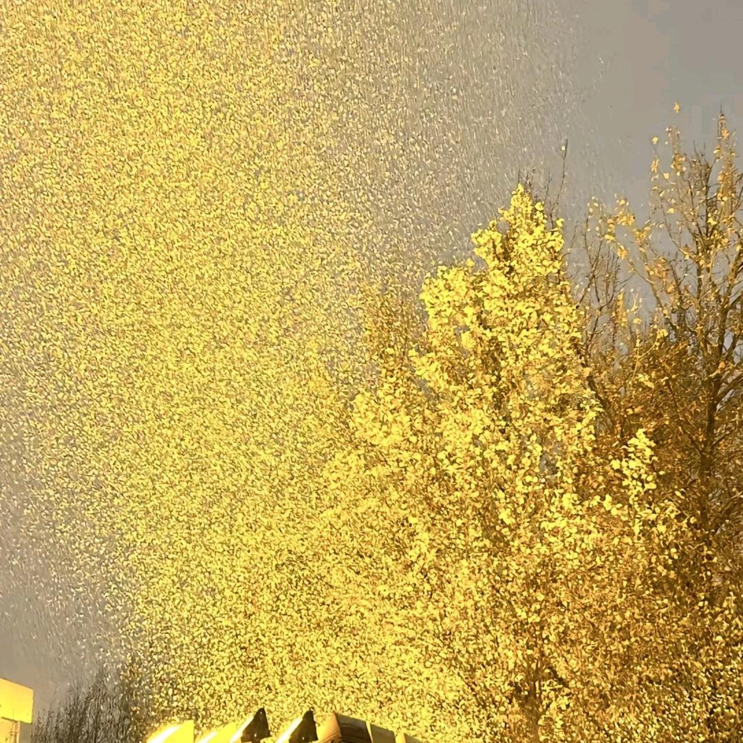 ঞᩚ与你同行᭄