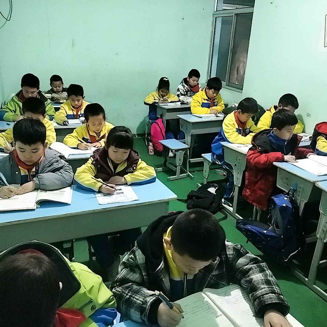 沂源向日葵托管服务室