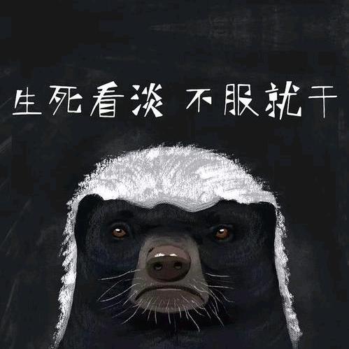 地暖小梁