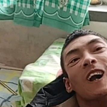 🍓残疾人成林🍓