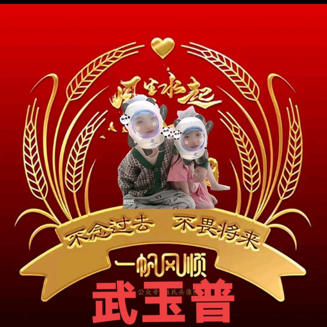 武玉普