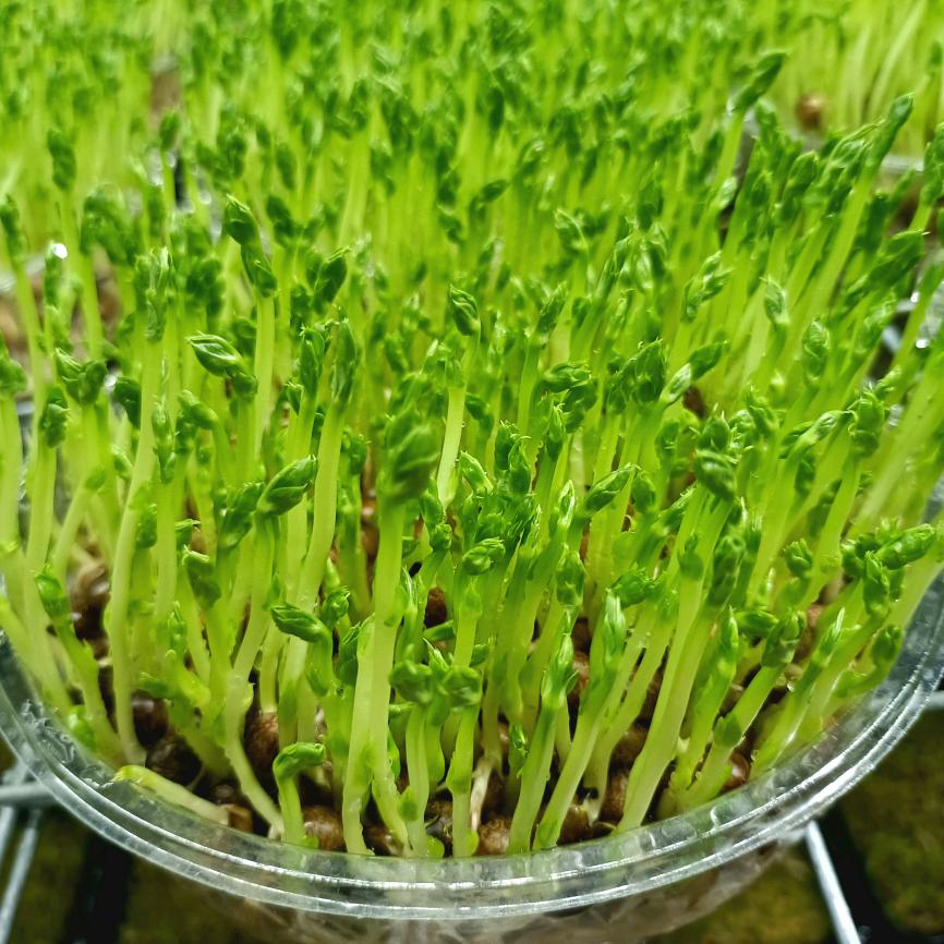 珺稞农业科技发展有限公司