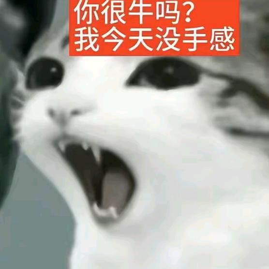 别急我在救人了（推荐流量被吞力 ꒦ິ^꒦