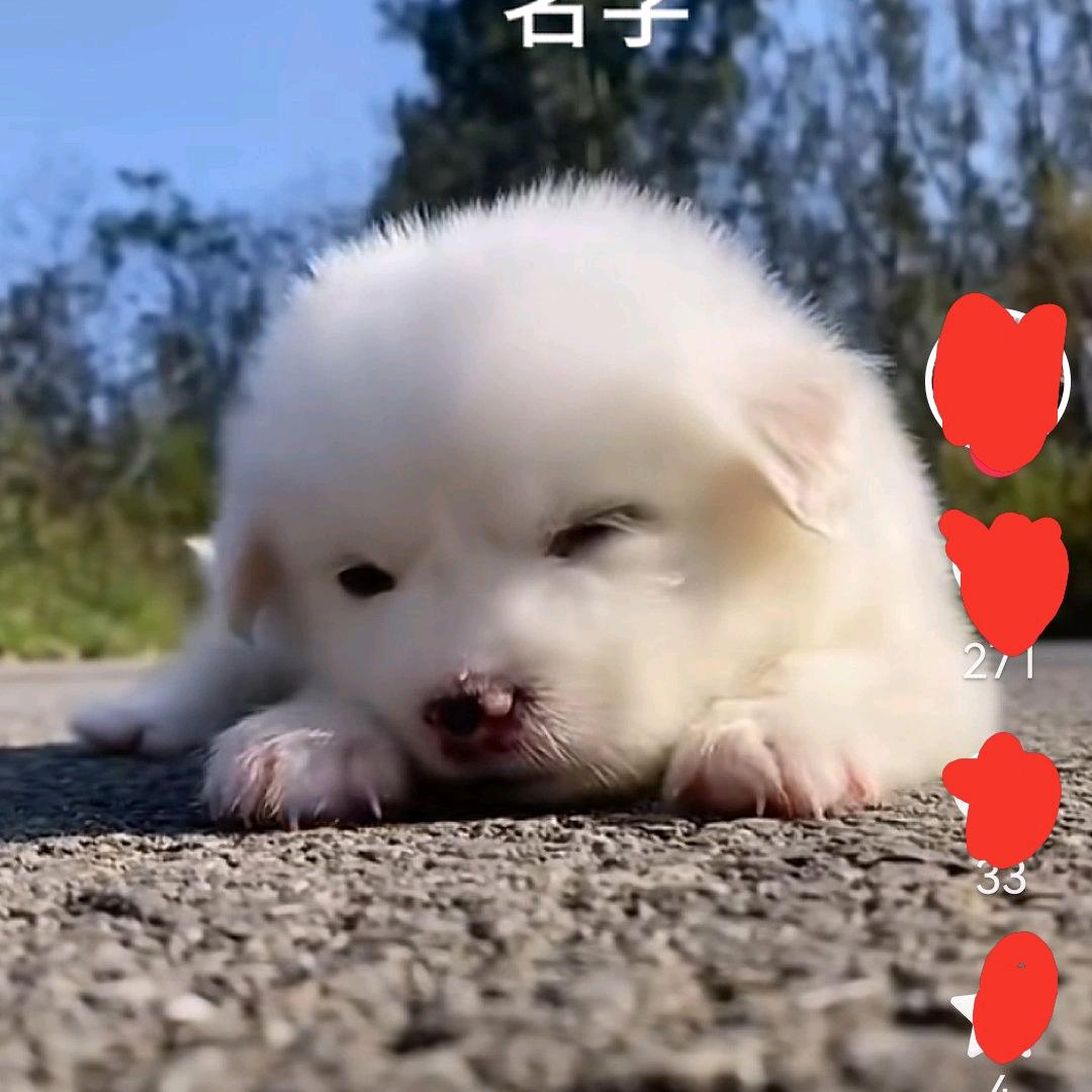 🥀᭄点点 ꧔ꦿᩚ泪💕