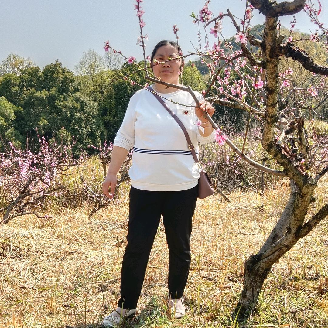 文鲜花