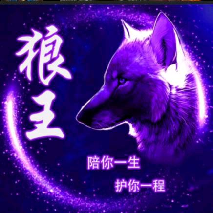 ✨狼王