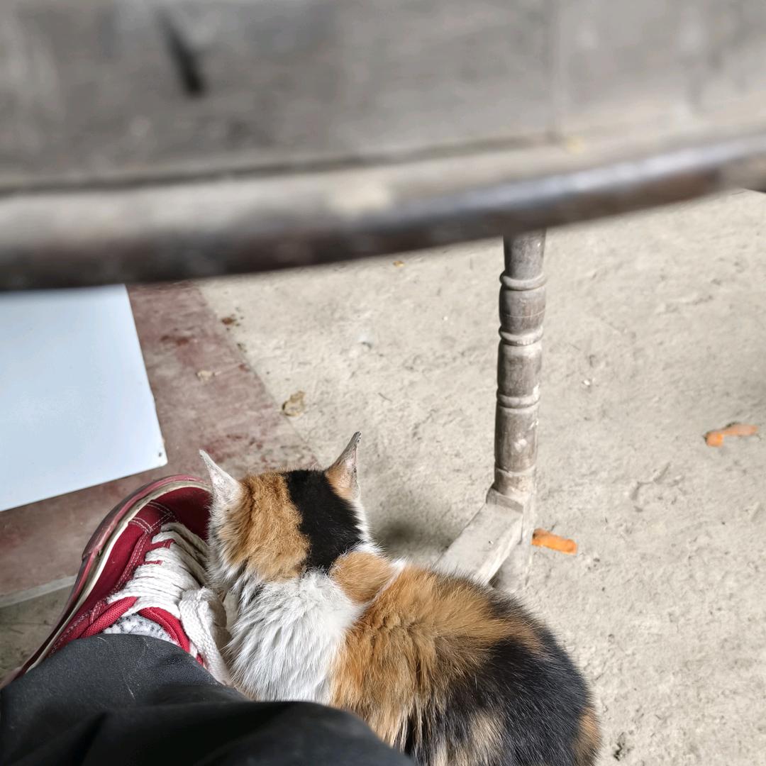 今今努力睡大觉