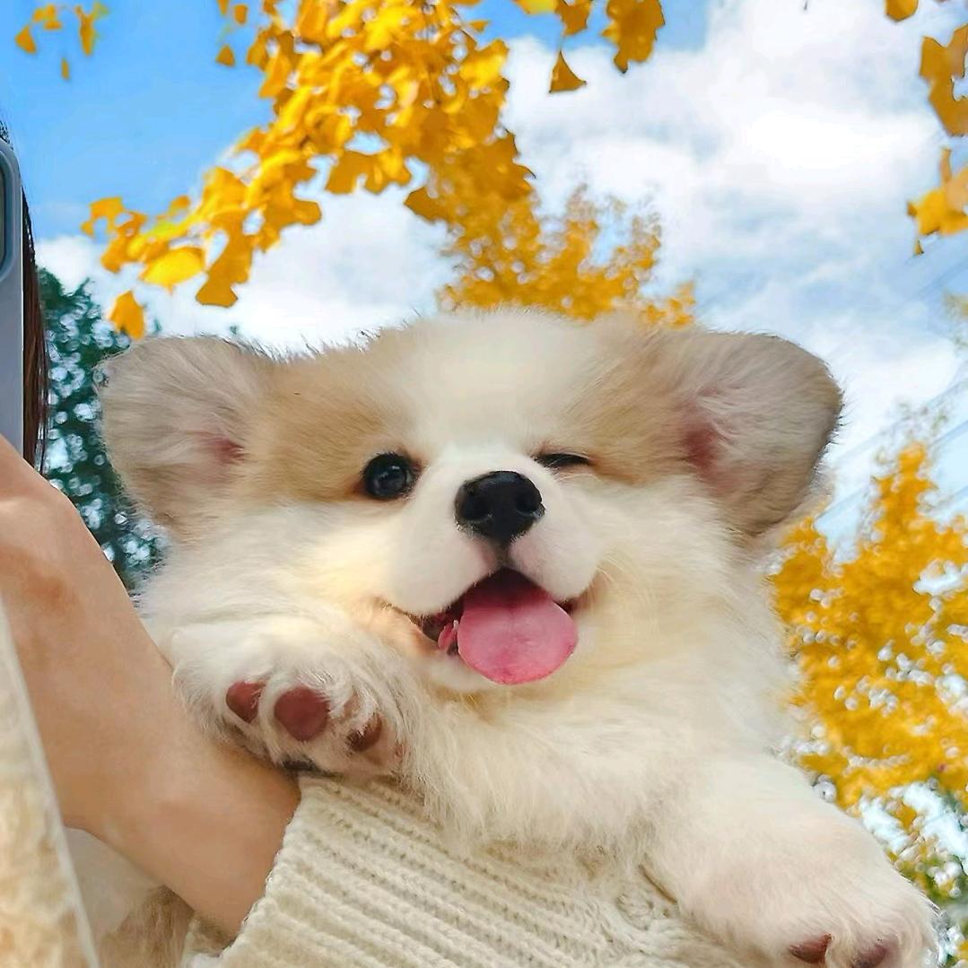 鑫宝♪今天要开心哦