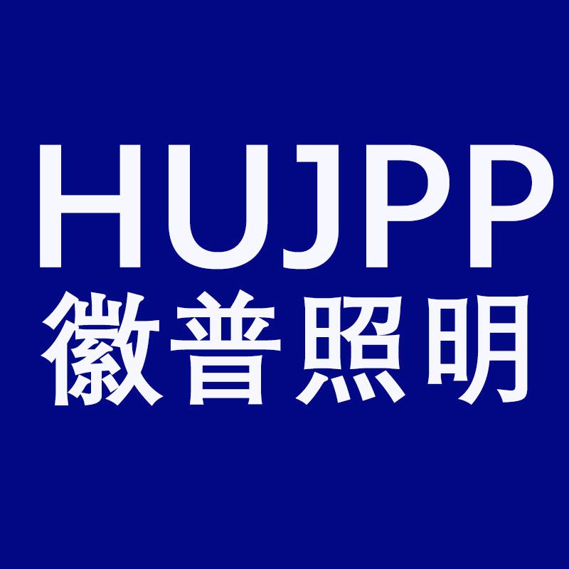 徽普照明旗舰店