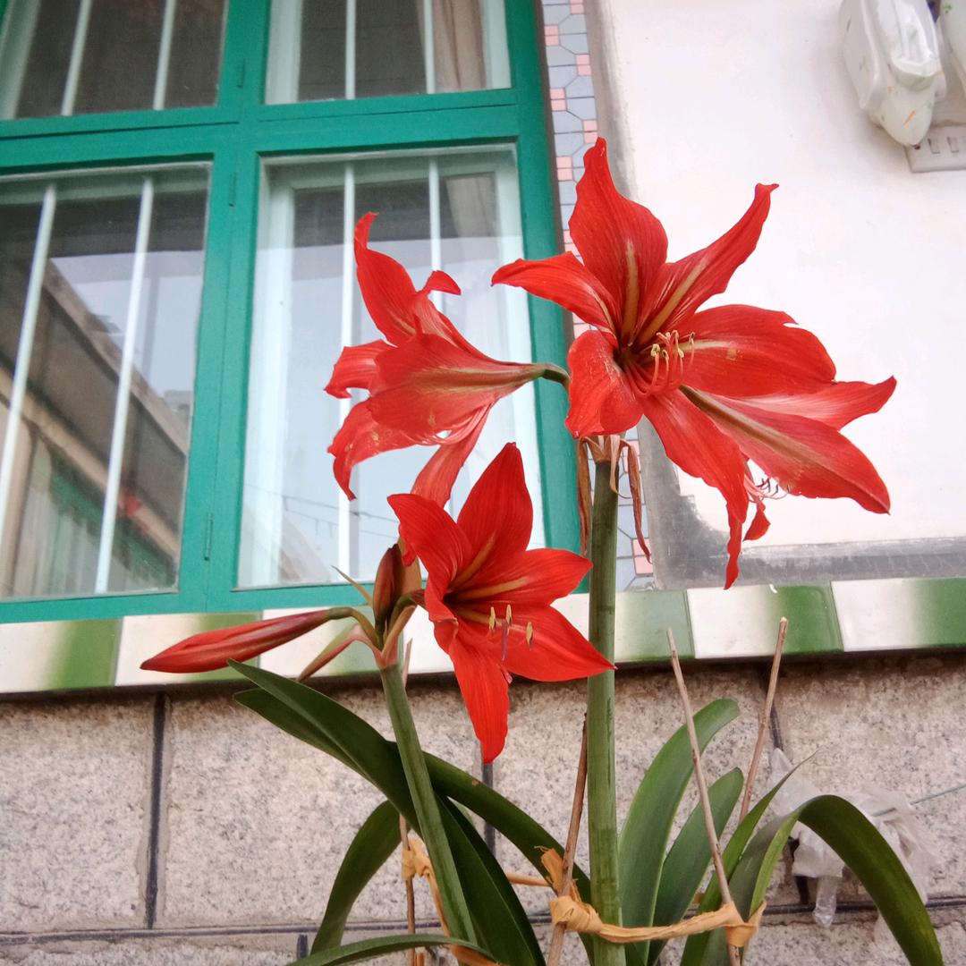 ！！！！！！！！！！！！！ ！！！！！！