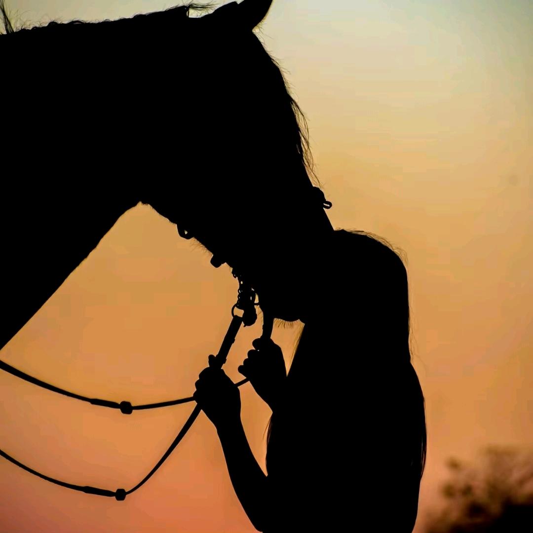 A.N.E.🐎