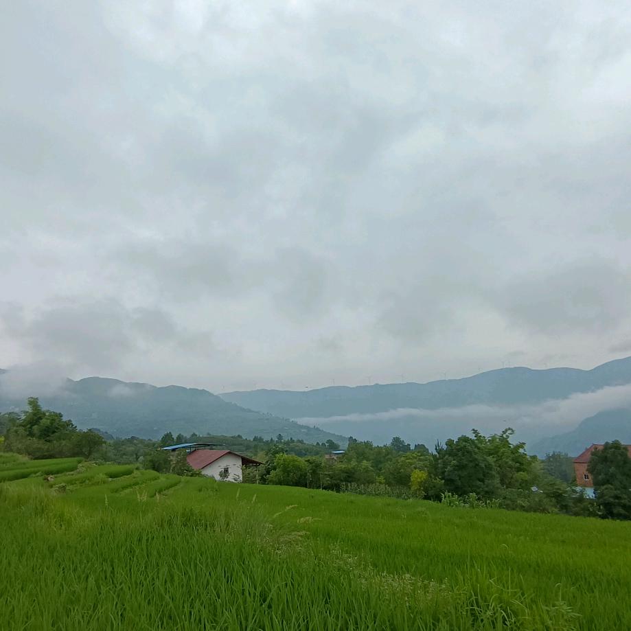 这世界那么多人