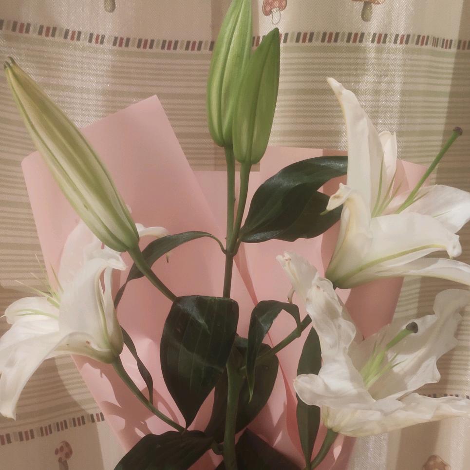 奥克斯(朝阳路店)专用号