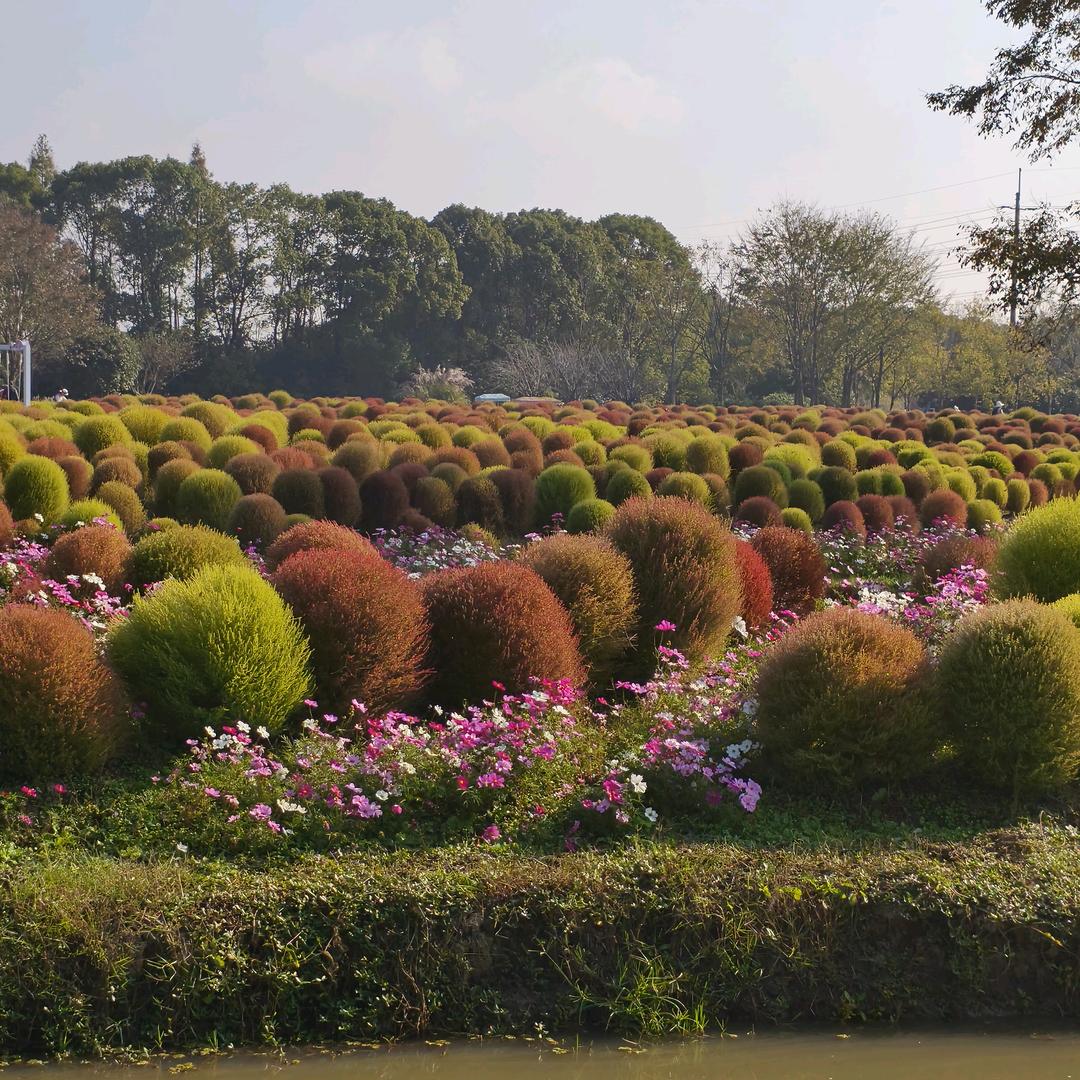 开心快乐每一天