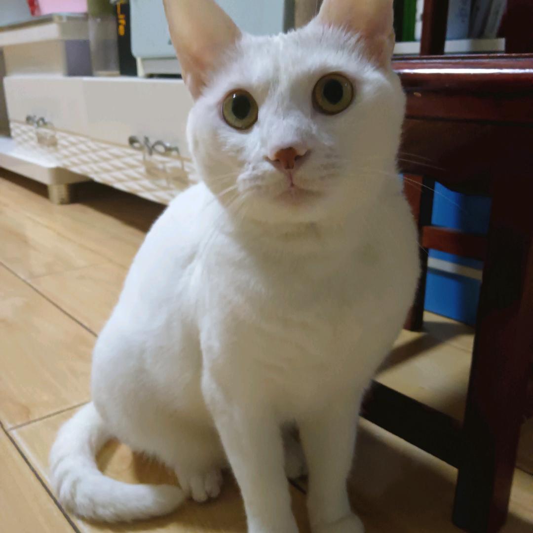 @@平安喜乐