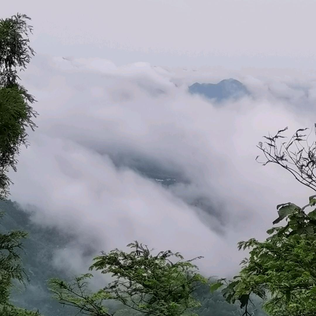 东北大哥