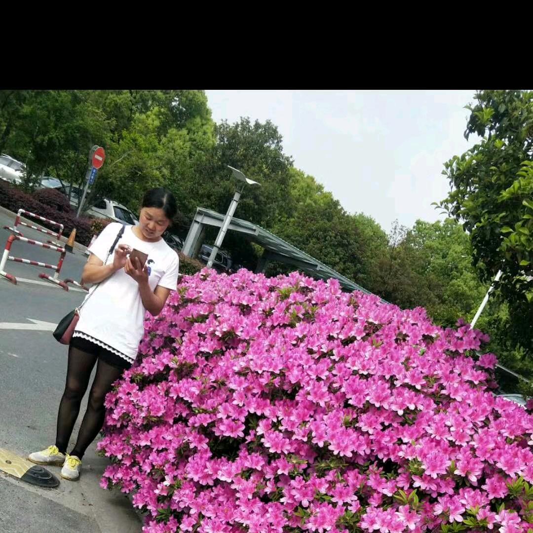 🍒开心燕子🍒