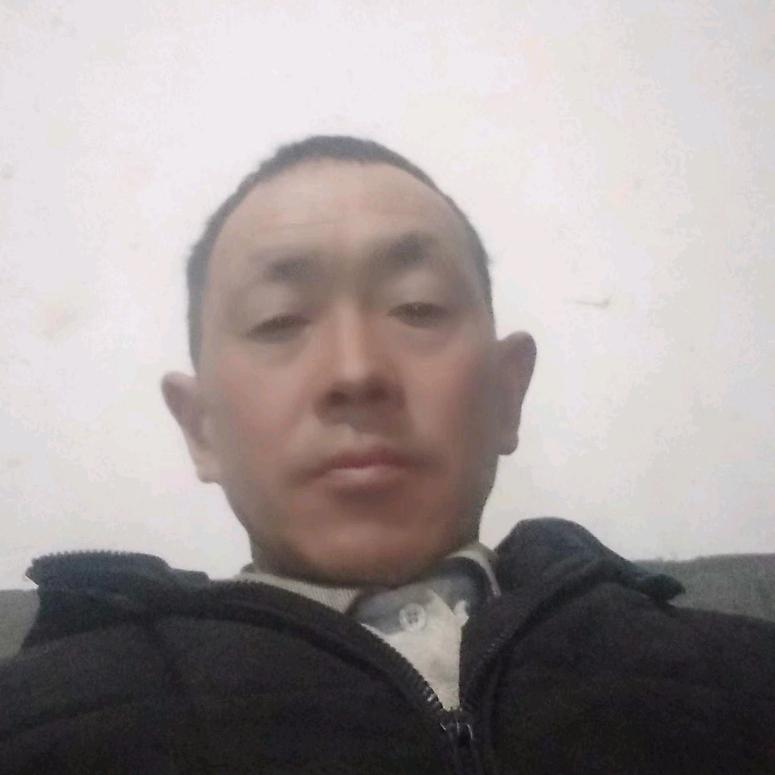 落叶滨飞