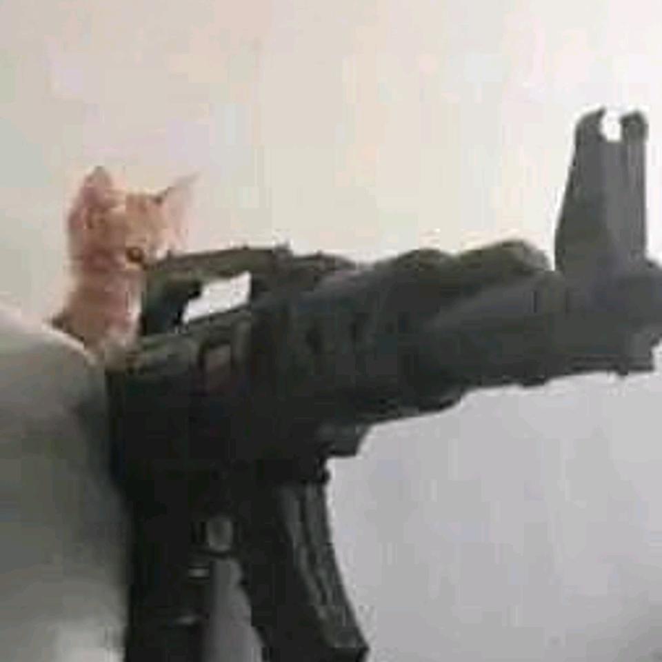 羊诺