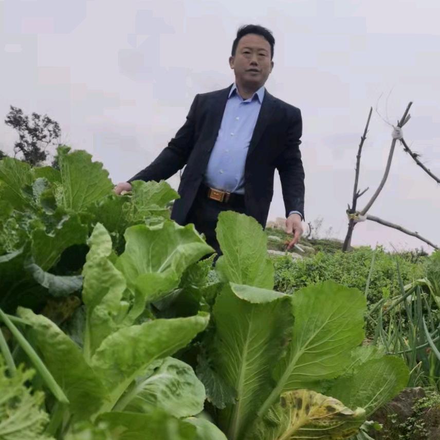 重出江湖