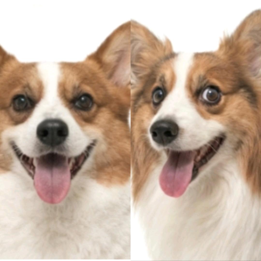 🍩Lin¥º༛º¥L࿉nᐝ🍬