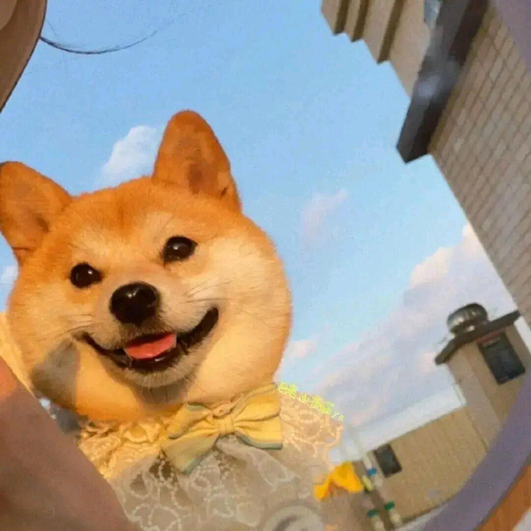 酒井