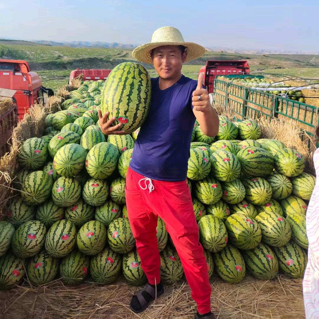 文少水果🍉产地直发
