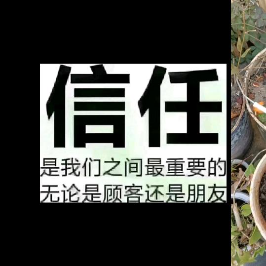 建水拆墙吊沙让你省时还省心❤️