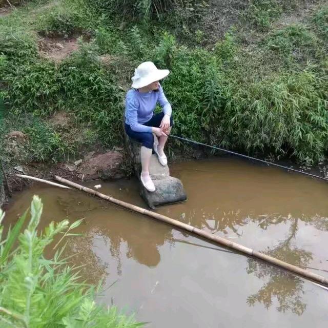 阮敏卉