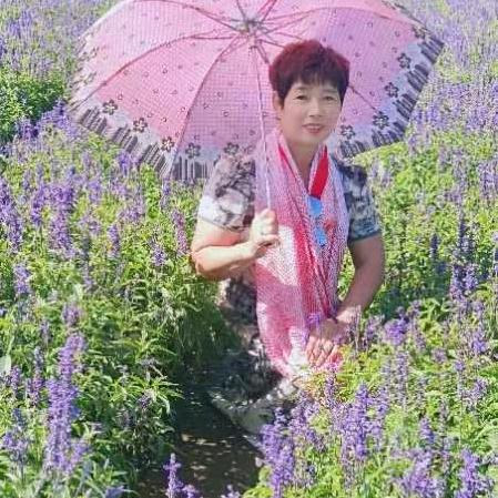 淡若轻风