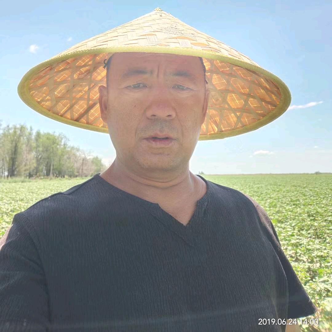 新型农业人