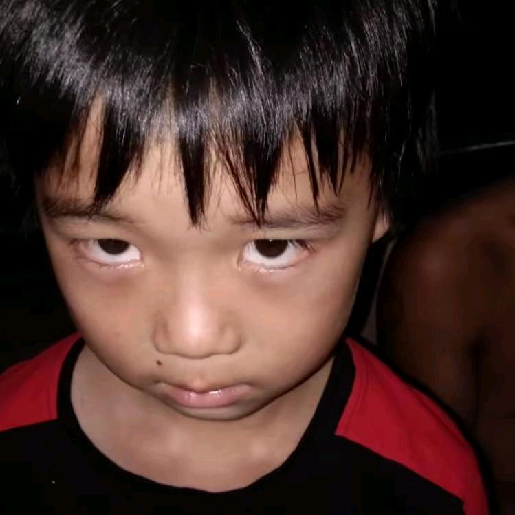 看看，不说话。╰_╯