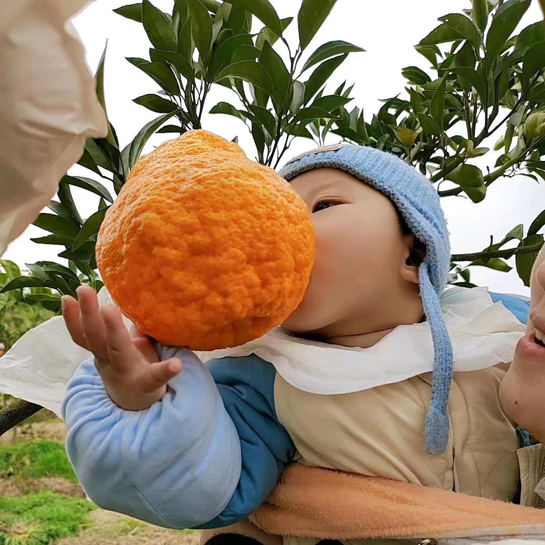 ℳঞᩚ赵꧔ꦿ᭄💞²º²²：ღ