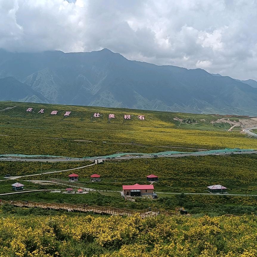 aichitaodexiaopengyo