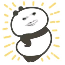 猪豆豆
