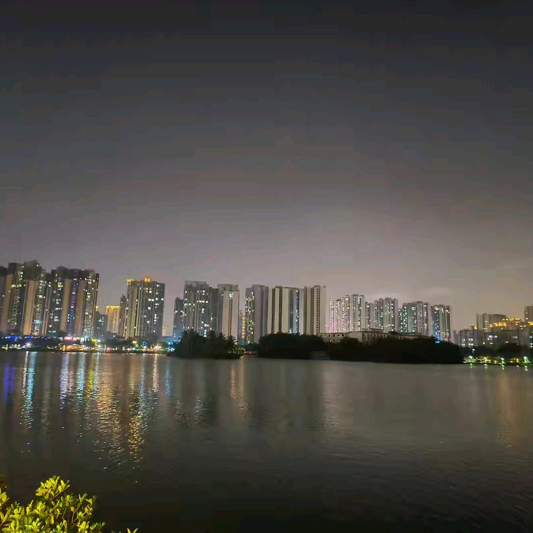 陆飞🌟