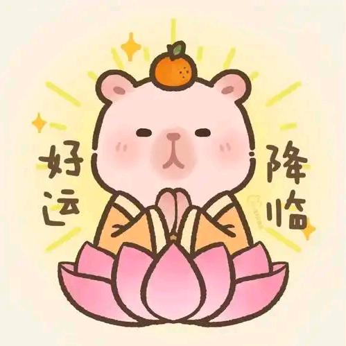 花骨朵