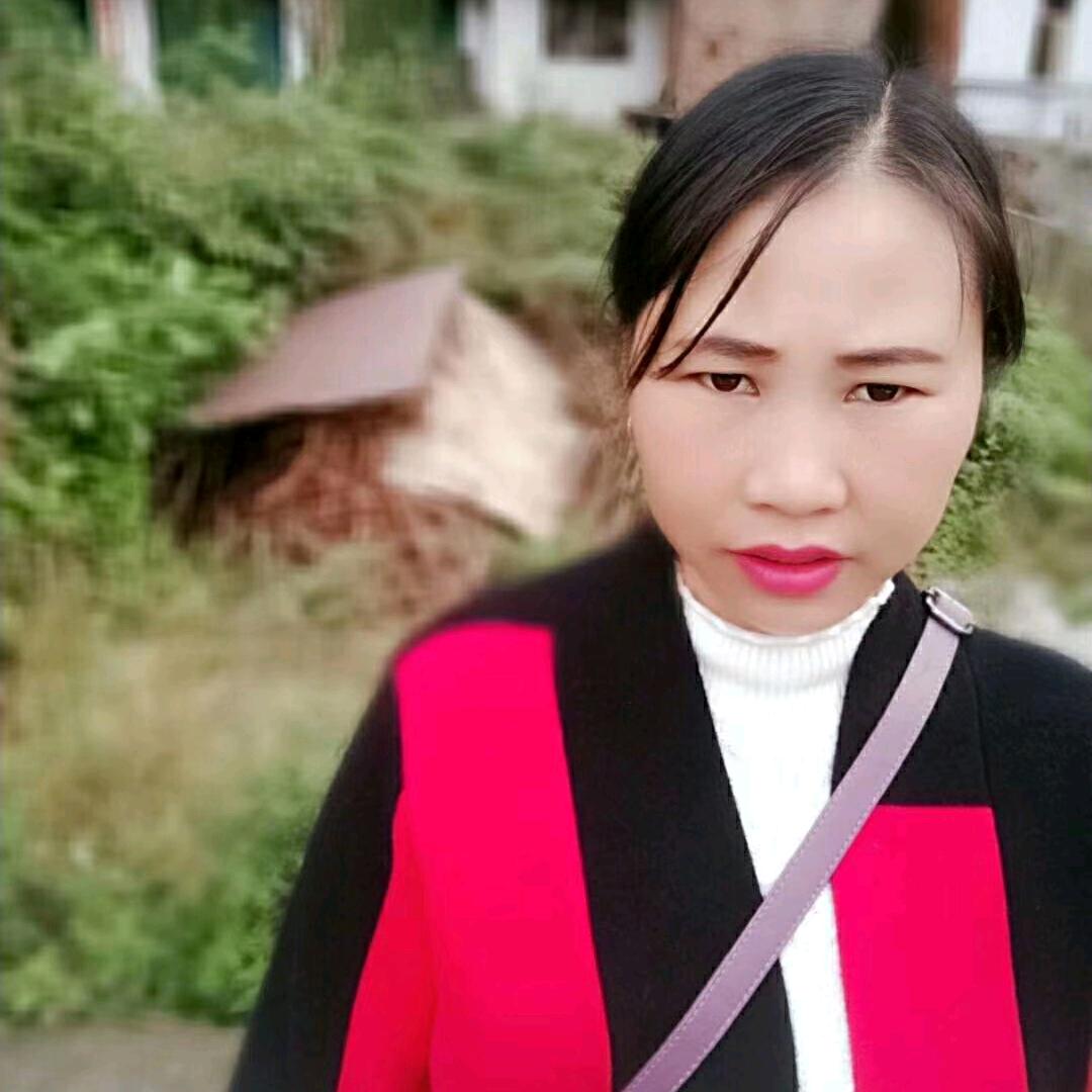 布衣歌手