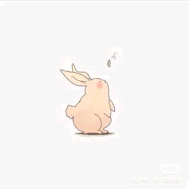 兔子.