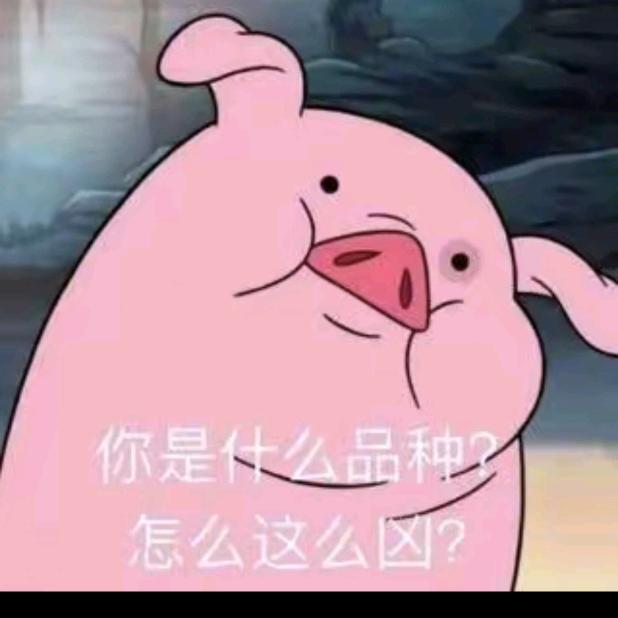 舔狗🐶