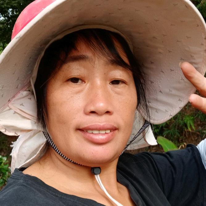乡村兰子